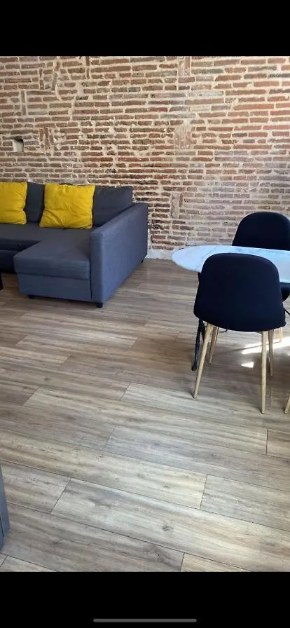 Spacieux Deux Pieces Capitole Toulouse Apartmán